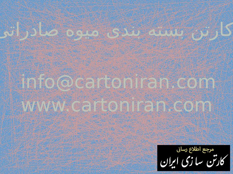 کارتن بسته بندی میوه صادراتی